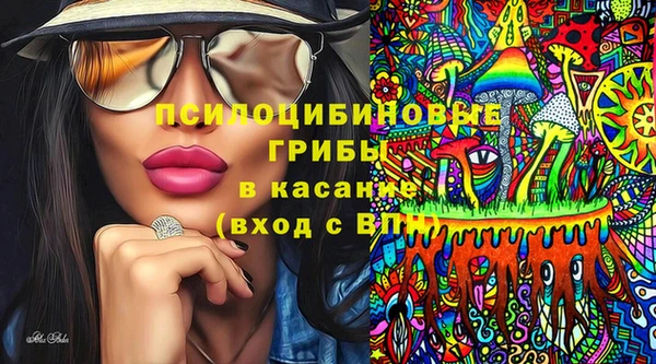 2c-b Семёнов