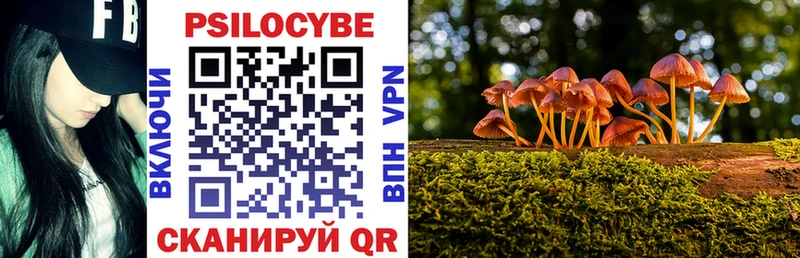 Купить где  Руза  Галлюциногенные грибы Magic Shrooms 